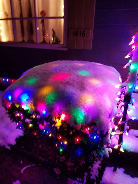 The Glow Of Christmas Lights Under The Snow Rmildlyinteresting