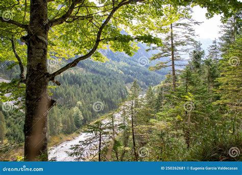 Landscape Of The European Alps In Eng Austria Stock Image Image Of