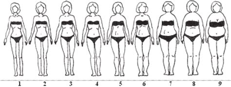The Template Of Female Body Shapes 6 Ryc 1 Szablon Sylwetek 6 Download Scientific Diagram