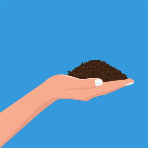 Best Mound Of Dirt Illustrations Royalty Free Vector Graphics And Clip