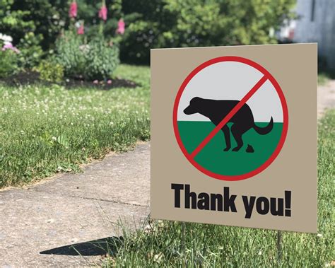 No Dog Poop Yard Signs 8in X 8in Weather Resistant Yard Sign Etsy