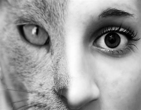 1024x600 Resolution Half Human And Cat Face In Grayscale Photo Hd