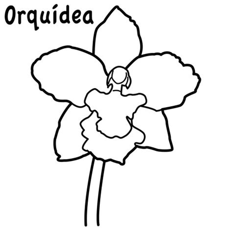 ORQUIDEAS DIBUJOS PARA COLOREAR Dibujos para colorear