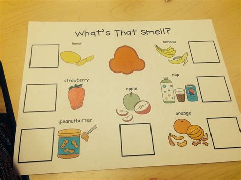 Five Senses Part 2 Senses Preschool Senses Activities Stem
