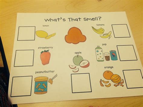 You can easily print it for kindergarten let's practice oval today we prepared an oval worksheet for preschool, kindergarten and first graders. Sense of Smell Activities (from Preschool Wonders ...