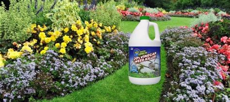 Best Weed Killer For Flower Beds The Ultimate Guide