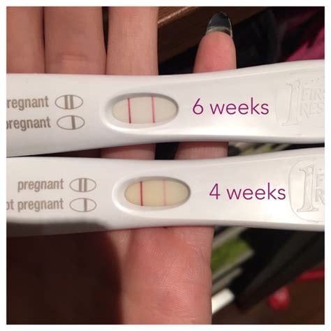Weeks four through seven are when most women discover they are pregnant. What does your 6 week pregnancy test look like? - Glow ...
