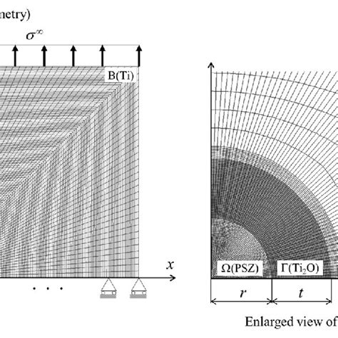 Finite Element Meshes And Boundary Conditions Of The Model For