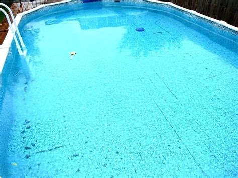 Maybe you would like to learn more about one of these? Tips to Prevent & Remove Black Algae From Your Inground ...