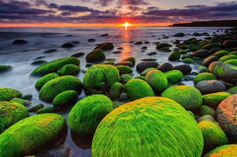 Hvaleyri Beach Iceland In 2020 Iceland Around The Worlds Nature