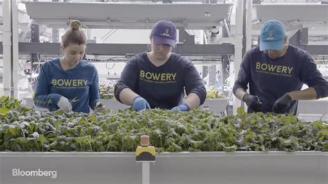 This High Tech Farmer Grows Kale In A Factory REDAD