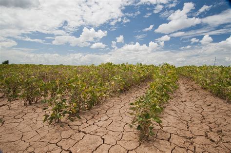 Arizonas Current Historic Drought May Be ‘baseline For The Future