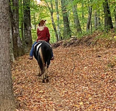 The 25 Best Places For Horseback Riding Innear Asheville Nc