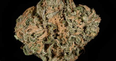 Blue Dream Weed Strain Everything You Need To Know Thrillist