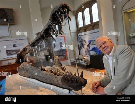 Uk Dorset Sir David Attenborough Unveils A 150 Million Year Old Giant