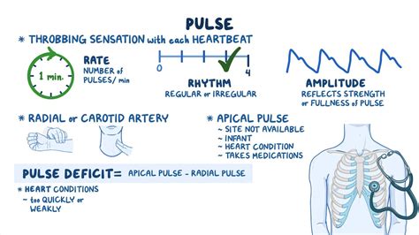 Vital Signs Pulse Nursing Skills Osmosis Video Library