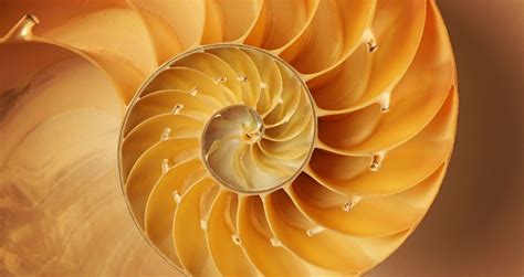 What Is The Golden Ratio And How To Apply It To Your Images Istock