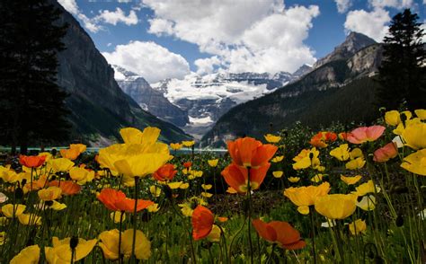 Fond Décran Paysage Montagnes La Nature Herbe Ciel Champ Des