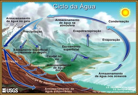 Ciências E Diversidade Ciclos Biogeoquímicos Biologia