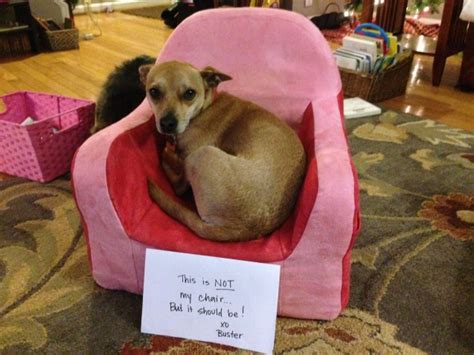 That is not my information to digress. This is not my chair…but it should be.