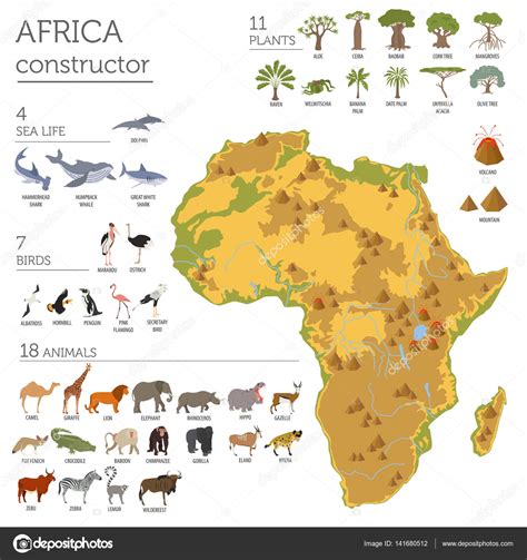 Flat Africa Flora And Fauna Map Constructor Elements Animals B