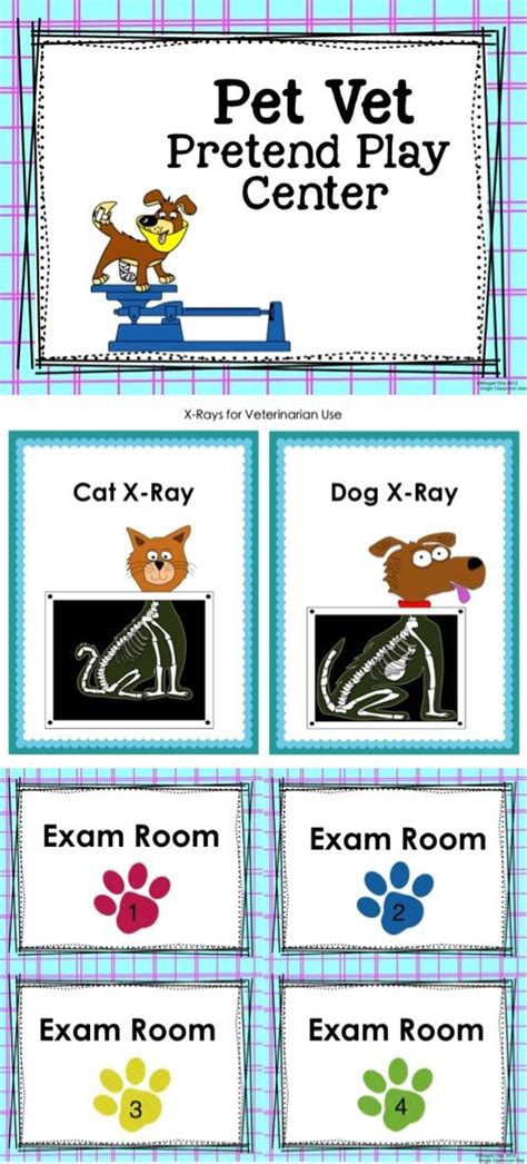 Pet Vet: Signs, Labels, Examination Forms, Patient Client Cards We