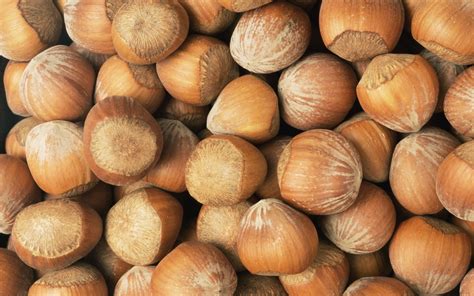 Nuts Wallpapers Hd Desktop And Mobile Backgrounds