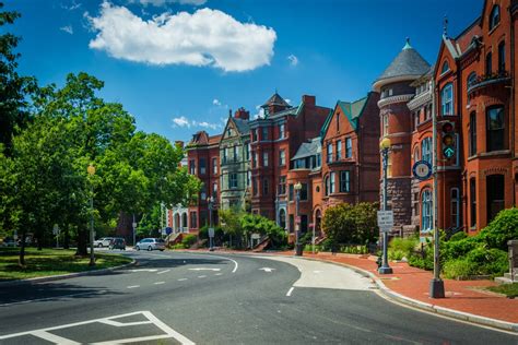 Healthy surroundings lead to less stress and are vital for everyone in the family to thrive. The best landscape trees for Washington, D.C.