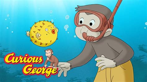 Curious George 🐠 George Visits A Coral Reef 🐠 Kids Cartoon 🐵 Kids