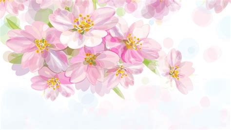 Simple Flower Desktop Wallpapers Top Free Simple Flower Desktop