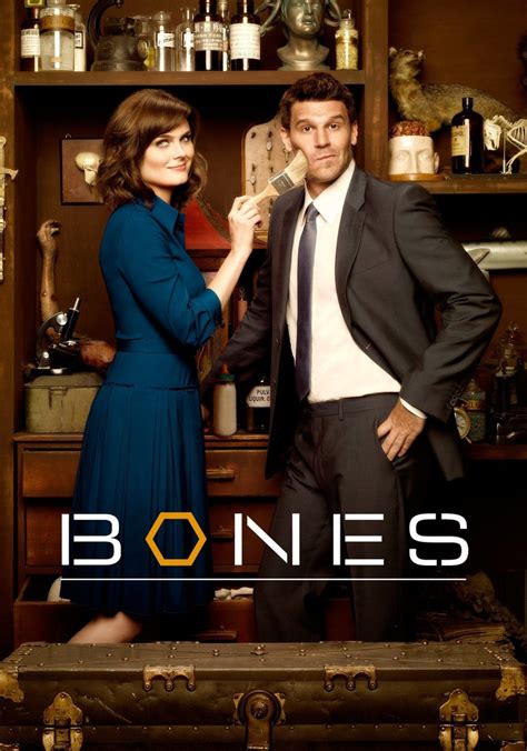 Bones Temporada 8 Ver Todos Los Episodios Online