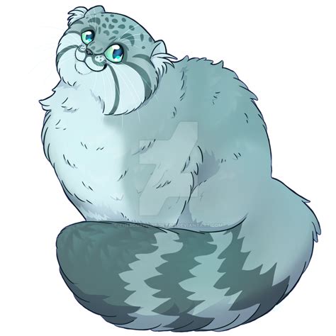 Pallas Cat Floof By Thescorpiondoctor On Deviantart