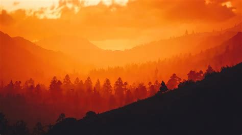 3840x2160 Red Dead Redemption 2 Sunset Time 8k 4k Hd 4k Wallpapers