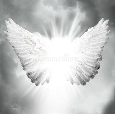 37820 Angel Wings Stock Photos Free And Royalty Free Stock Photos From