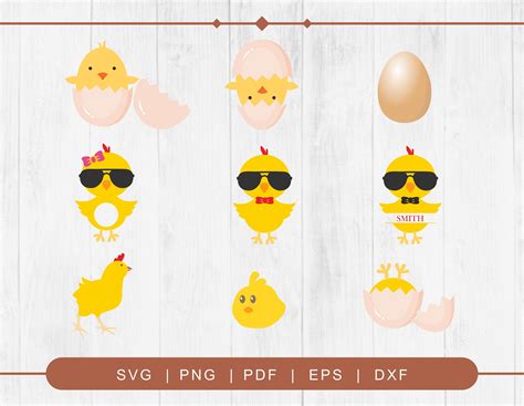 Chick Svg Baby Chick Svg Chick Sunglasses Svg Easter Svg Etsy