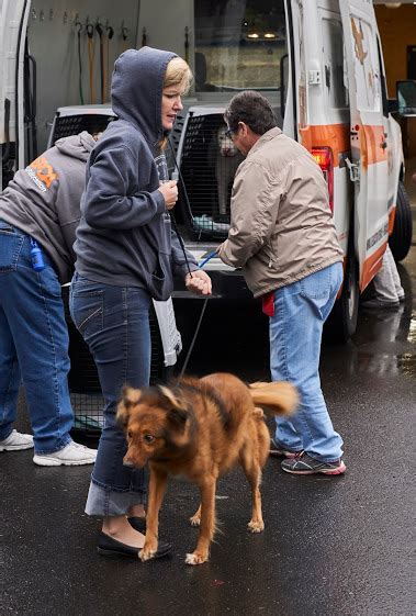 Humane Society For Southwest Washington Receives Florida Shelter Dogs