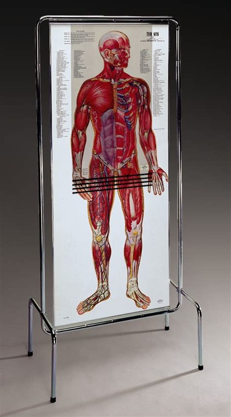 Thin man giant anatomy overlay anatomical chart. Thin Man Giant Anatomy Overlay Anatomical Chart - Anatomy Models and Anatomical Charts