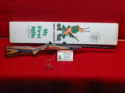 Davey Crickett Youth Rifle 22 Cal For Sale At 9423475