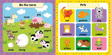 My First Animal Words Book By Igloobooks Official Publisher Page