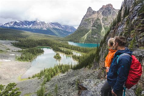 Hiking And Camping At Lake Ohara The Complete Guide To Yohos Paradise