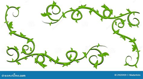 Green Leafy Vines Clip Art Royalty Free Stock Images Image 2925959