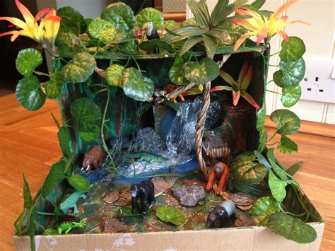 Our Rainforest In A Shoe Box Habitats Projects Biomes Project