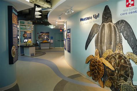 South Carolina Aquarium Sisal Creative