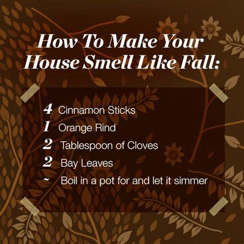 You need to invite them into your home. How To Make Your House Smell Like Fall 🍁 http://multibra ...