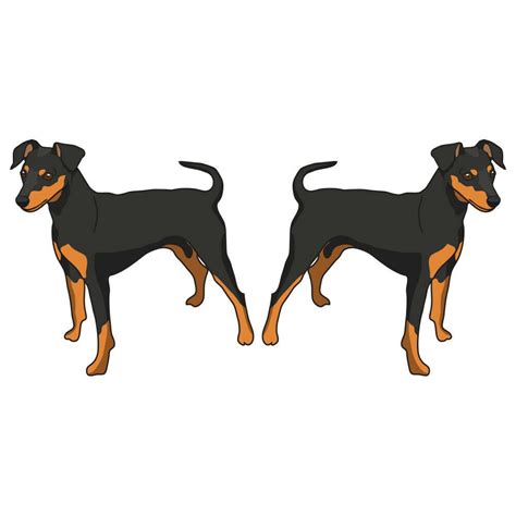 Miniature Pinscher Dog Decal Dog Lover Décor Vinyl Sticker