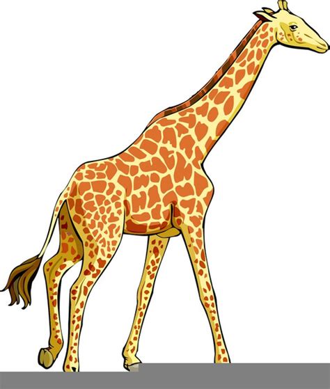 Cute Baby Giraffe Clipart Free Images At Vector Clip Art