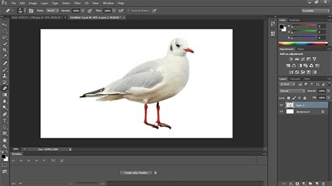 Buka software adobe photoshop cs6 di pc atau laptop kalian. Cara Memotong Gambar di Photoshop Dengan Crop Tools ...