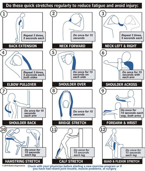 Stretching Guide Harbour Sport