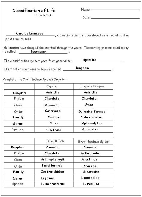biological classification worksheet taxonomy worksheet
