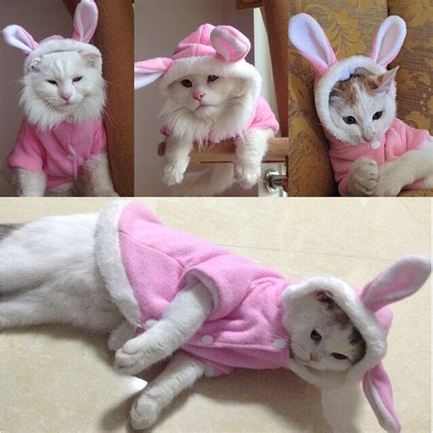 Rabbit Design Pet Clothes Winter Cat Clothes Cute Pet Clothing For Cats